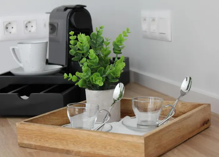 Nicole 플라야블랑카